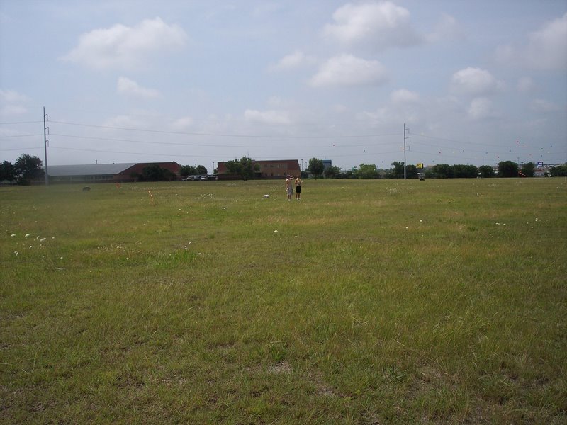 Cameron and Ace are outstanding in their field