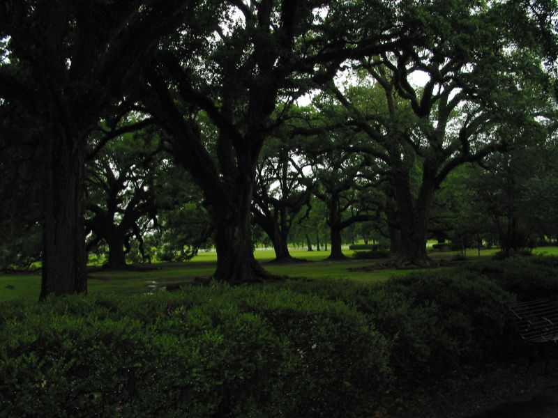 IMG 5642