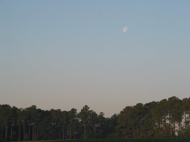 The TPC