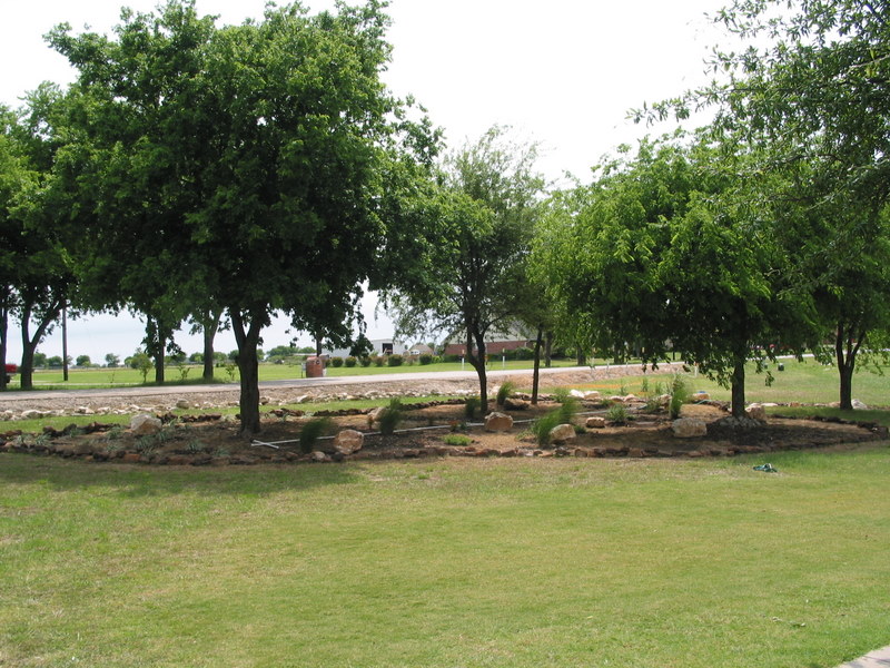 Plants planted in the new bordered area