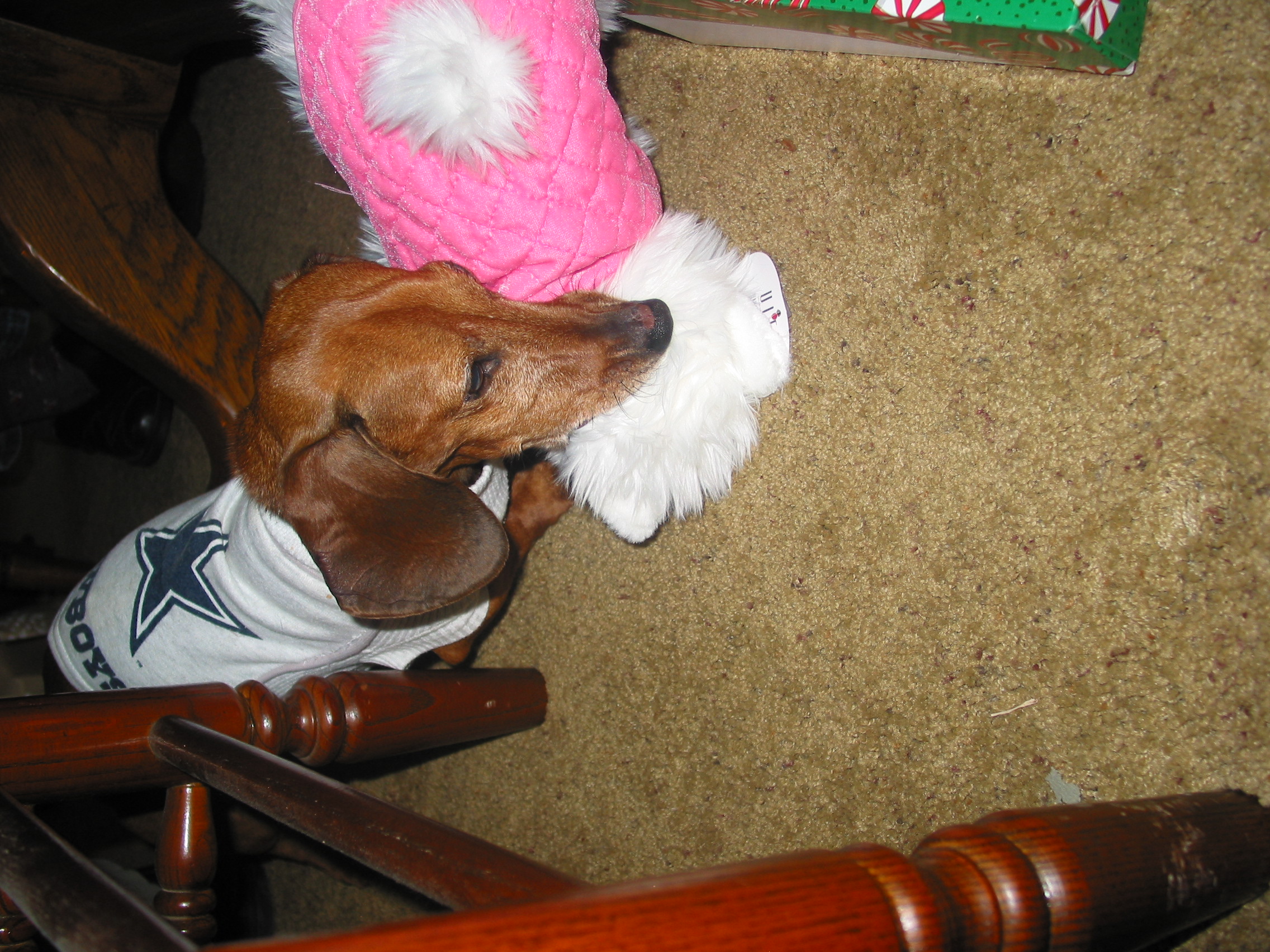 Deanie's gift.