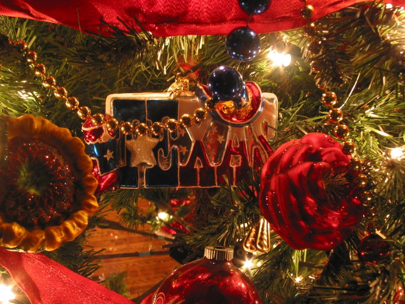 Texas Christmas ornament