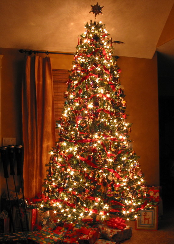 Lit Armstrong Christmas Tree 2006