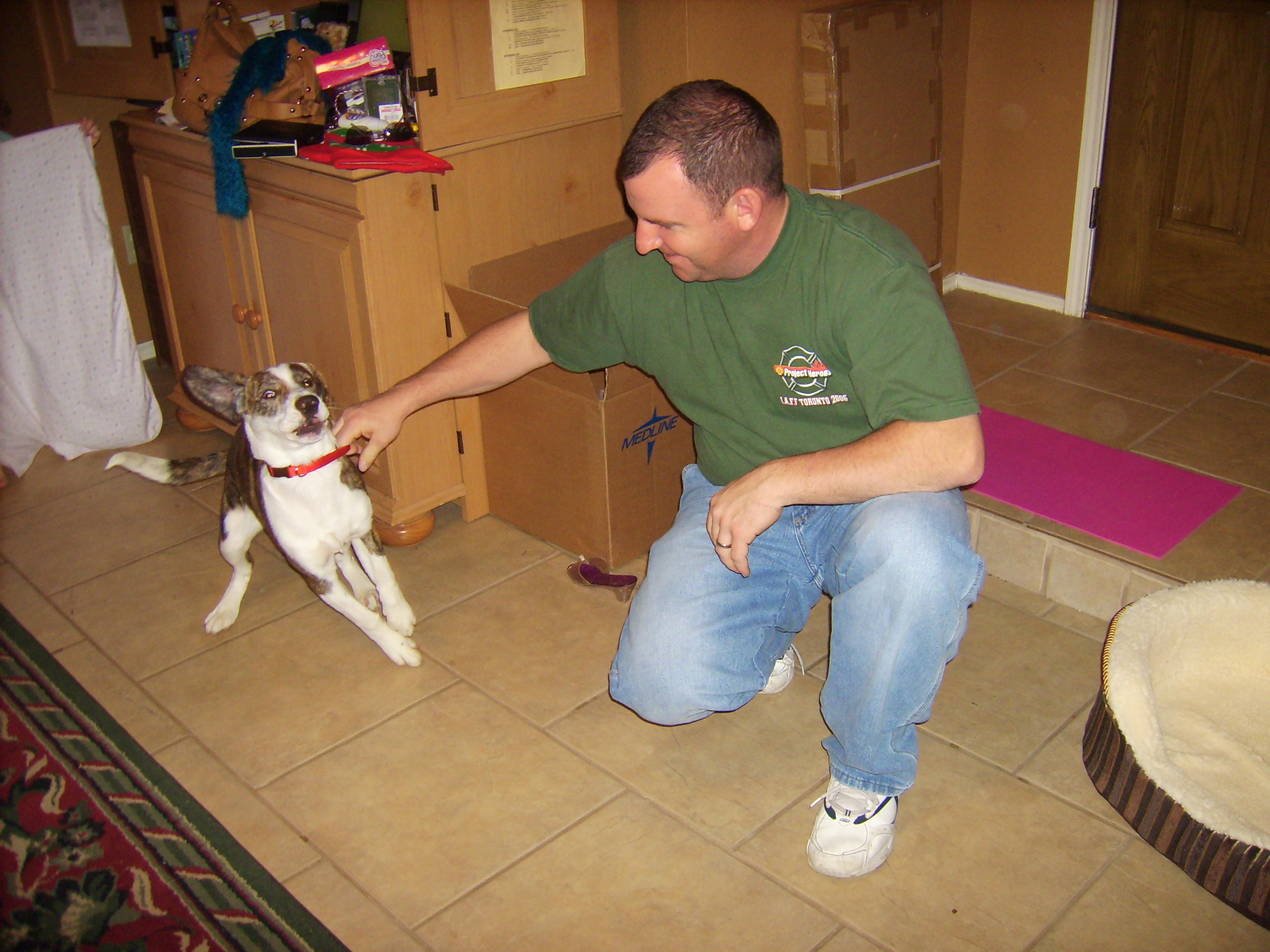 Joe controls the new Kowal dog