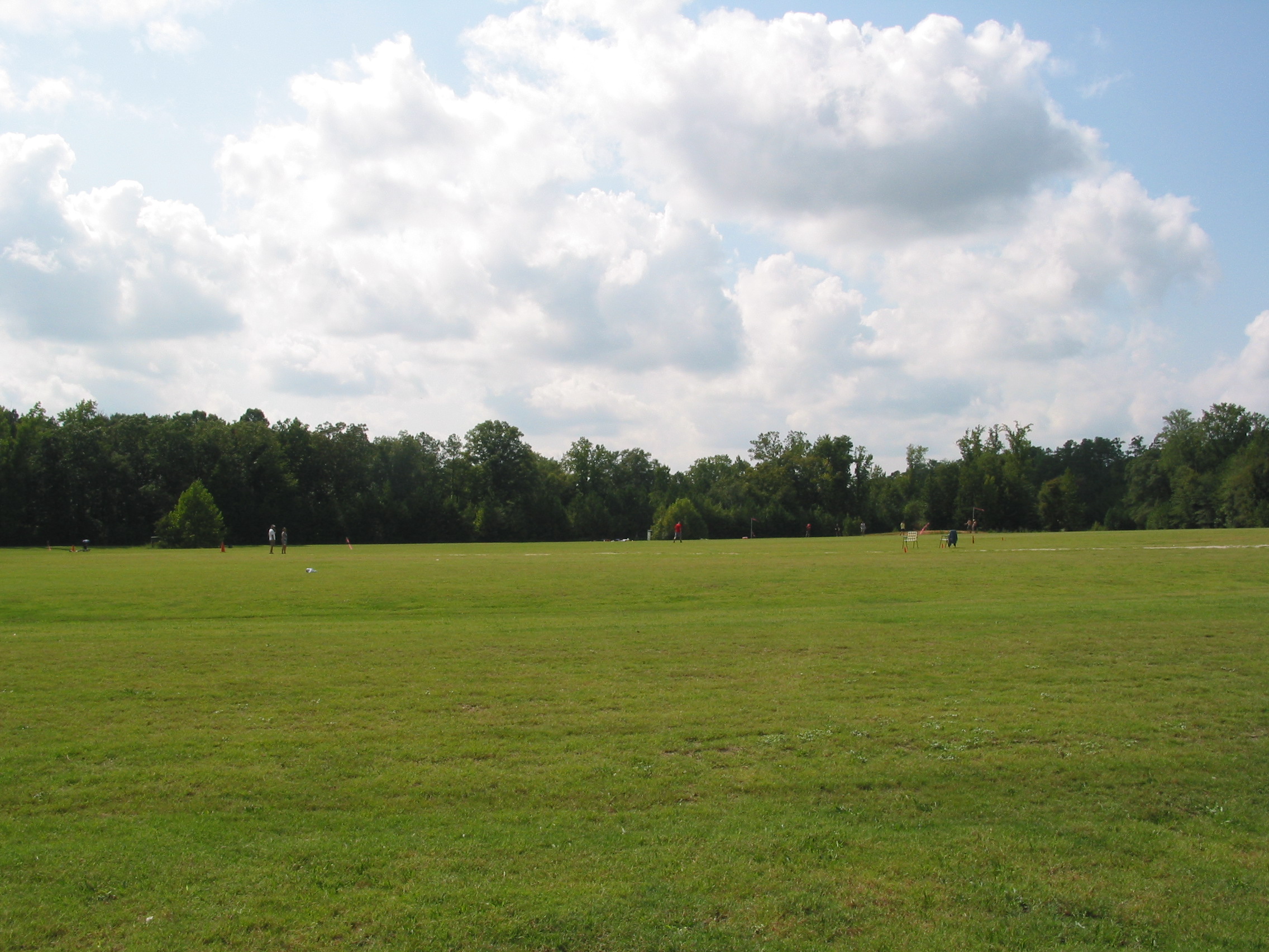 The LD guys are outstanding in their field