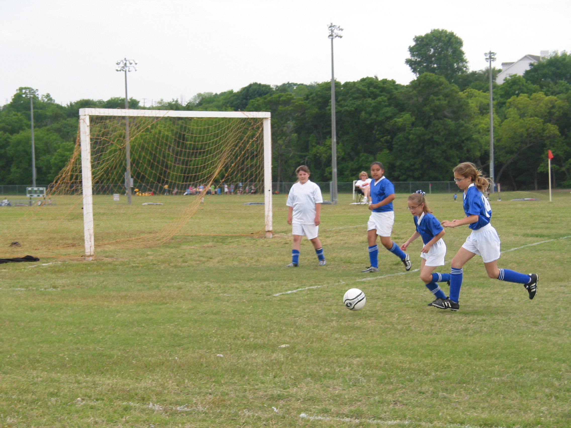 Holly chases the ball.