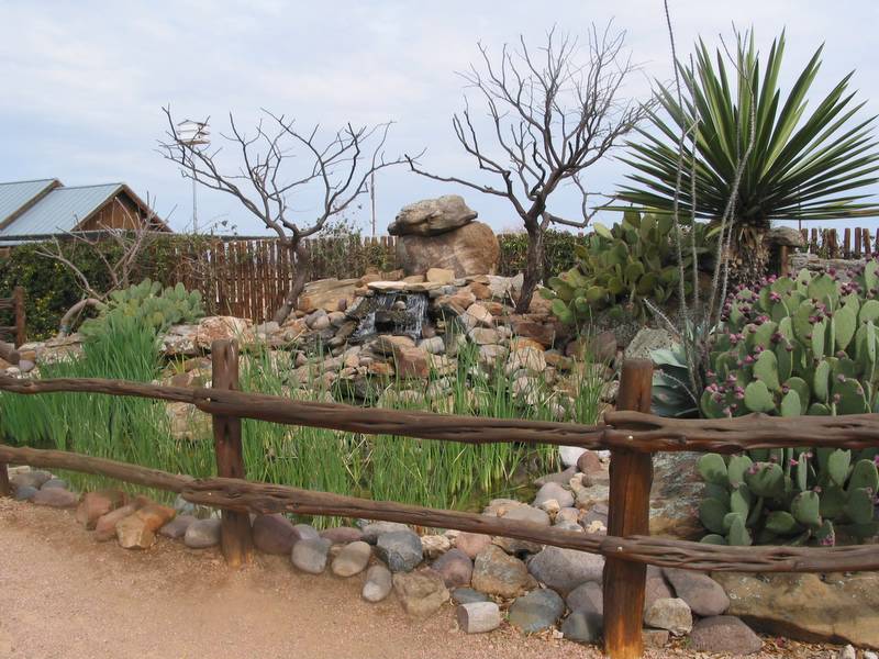 A neat 'water feature'