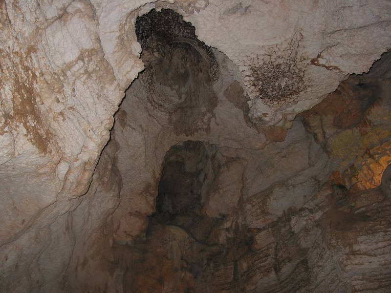 Where bats used to hang out