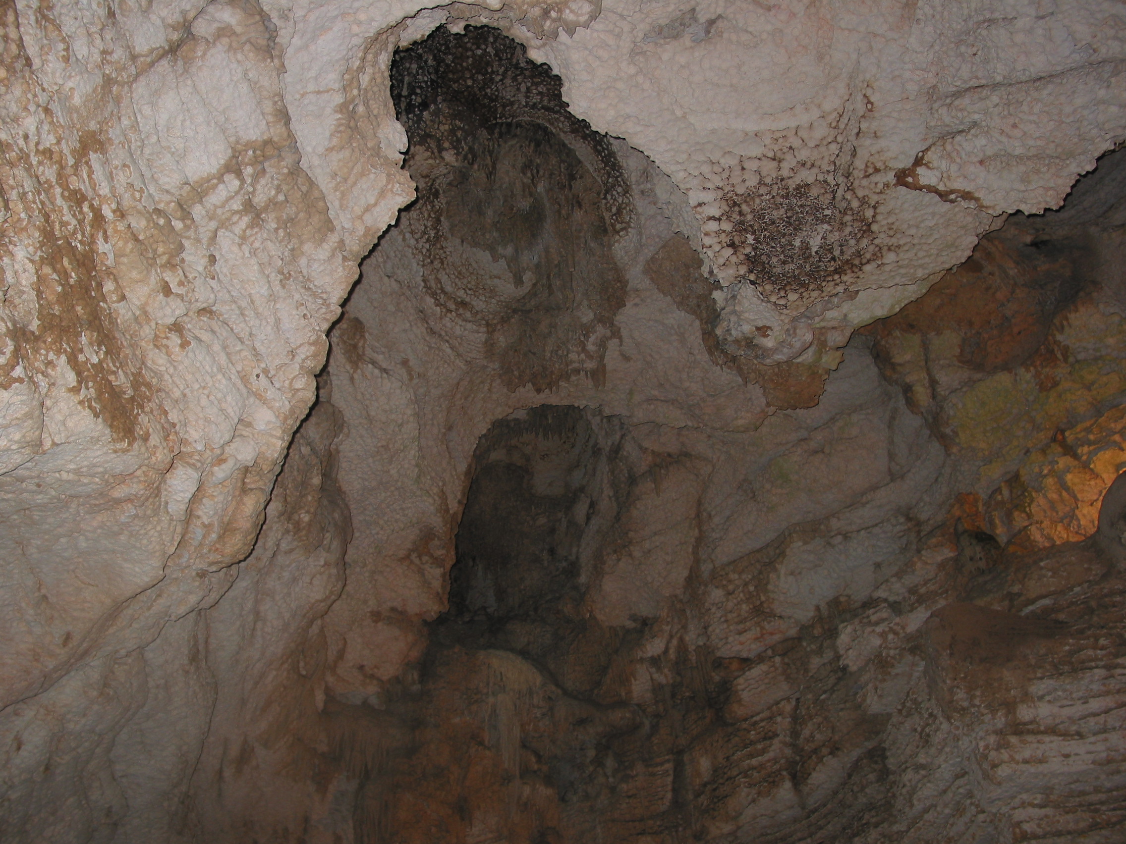 Where bats used to hang out