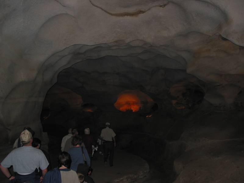 The guide leads the group through a large area