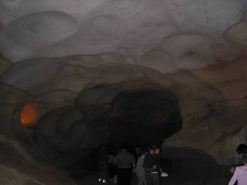 IMG 6591