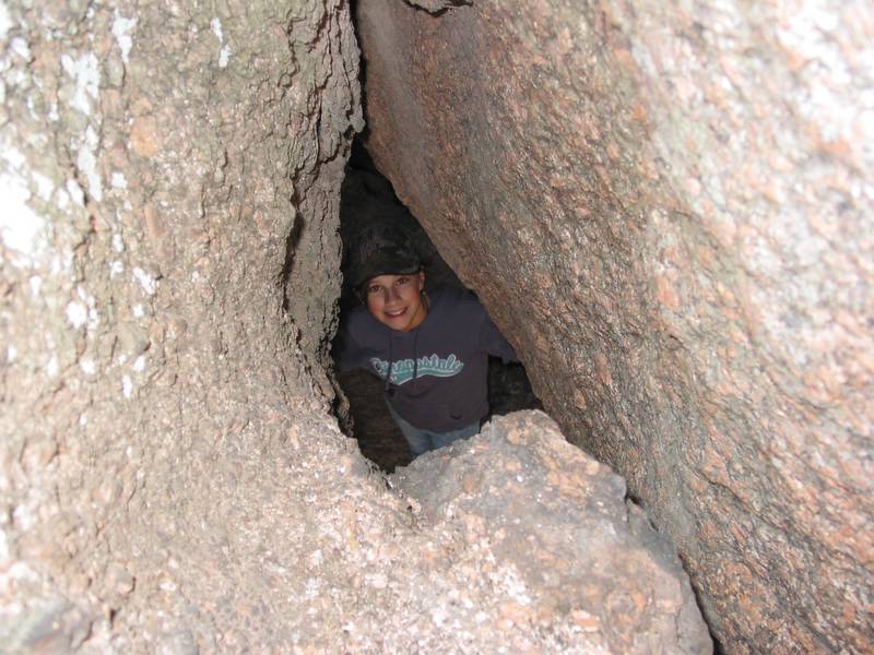 Holly in a neat spot (no flash)