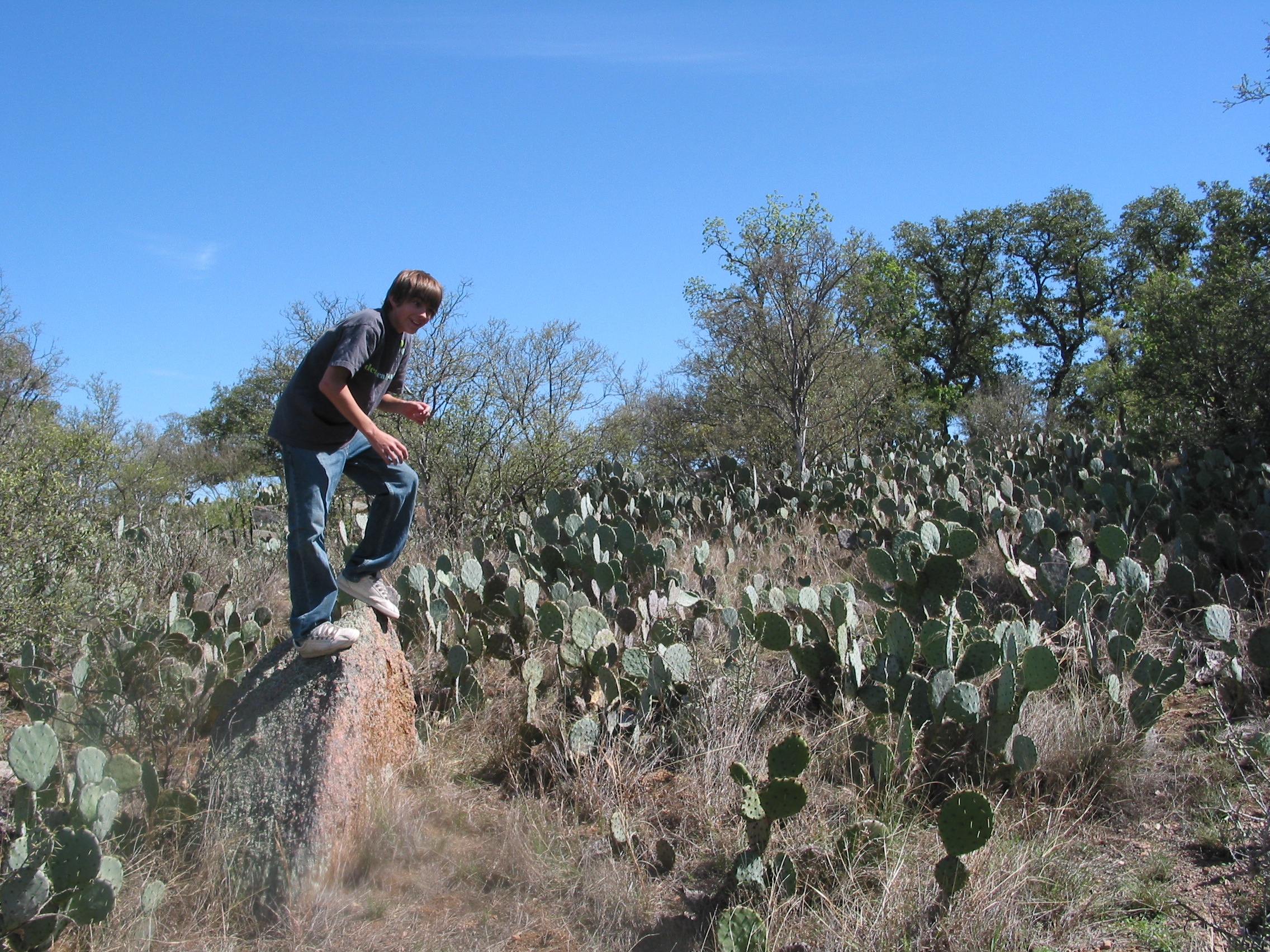 Andrew appears distressed by this field of cactus