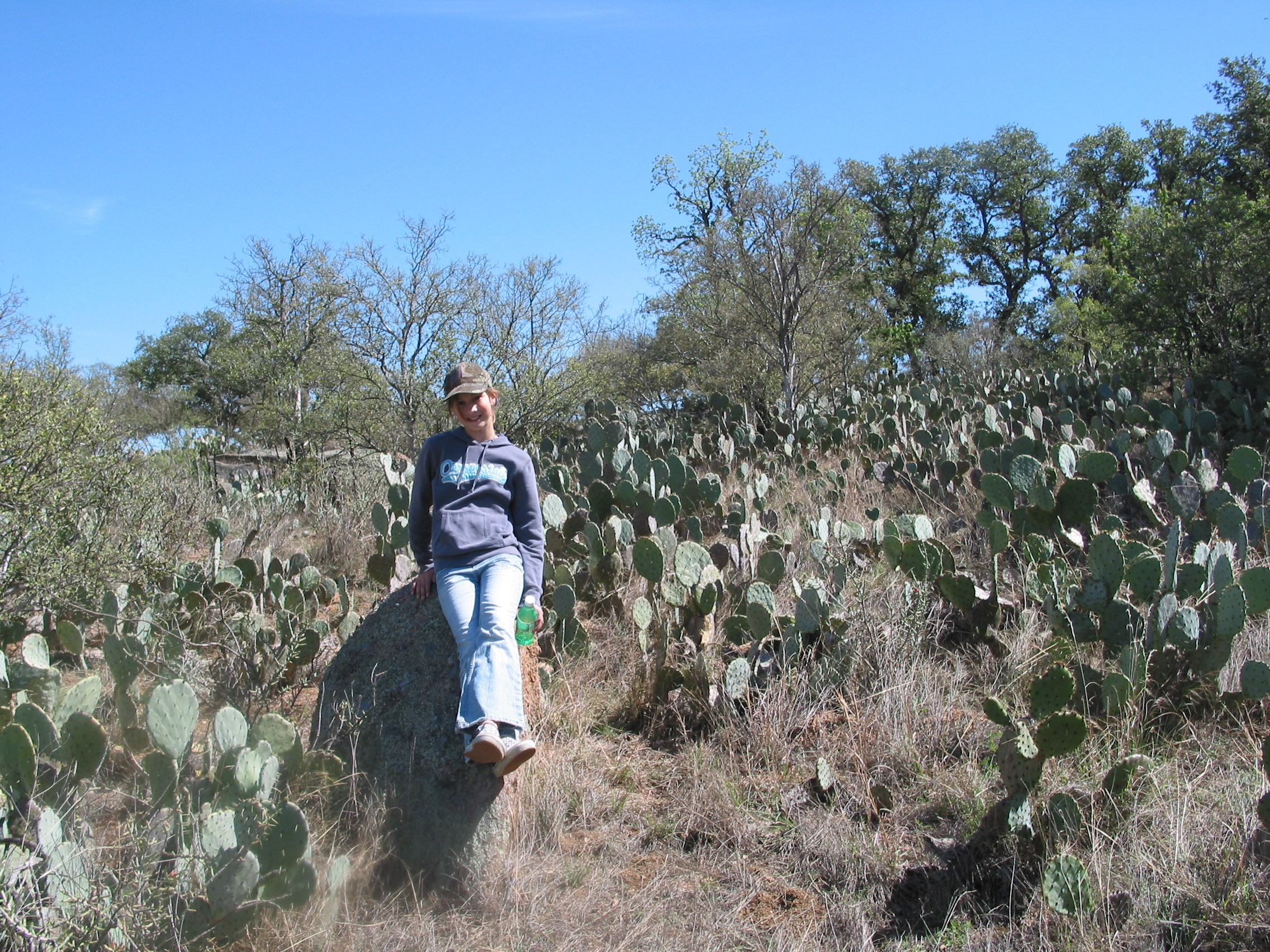The field of cactus seems less of a worry for Holly