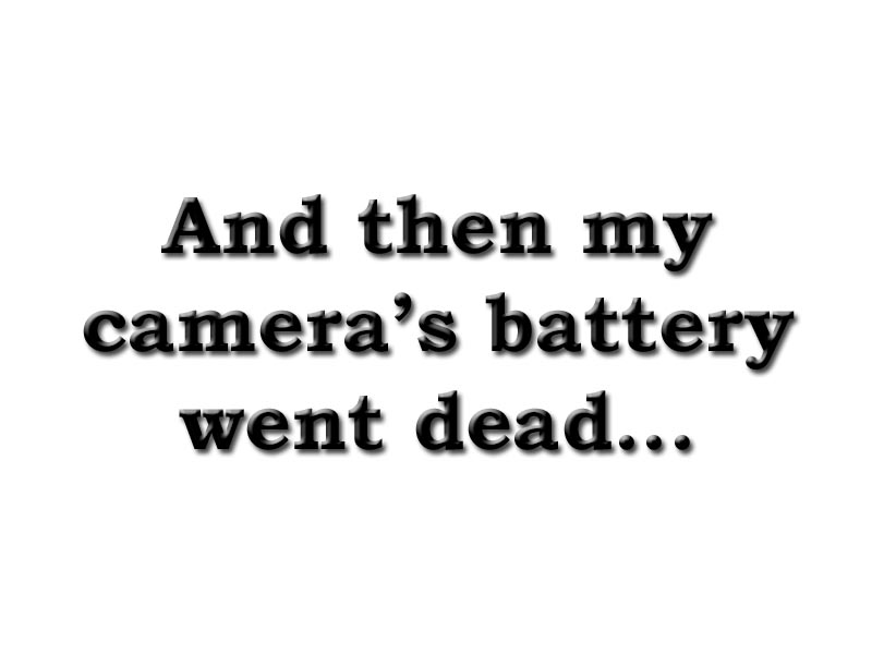 I planned to take lots of photos during the awards ceremony, but my camera's battery went dead.