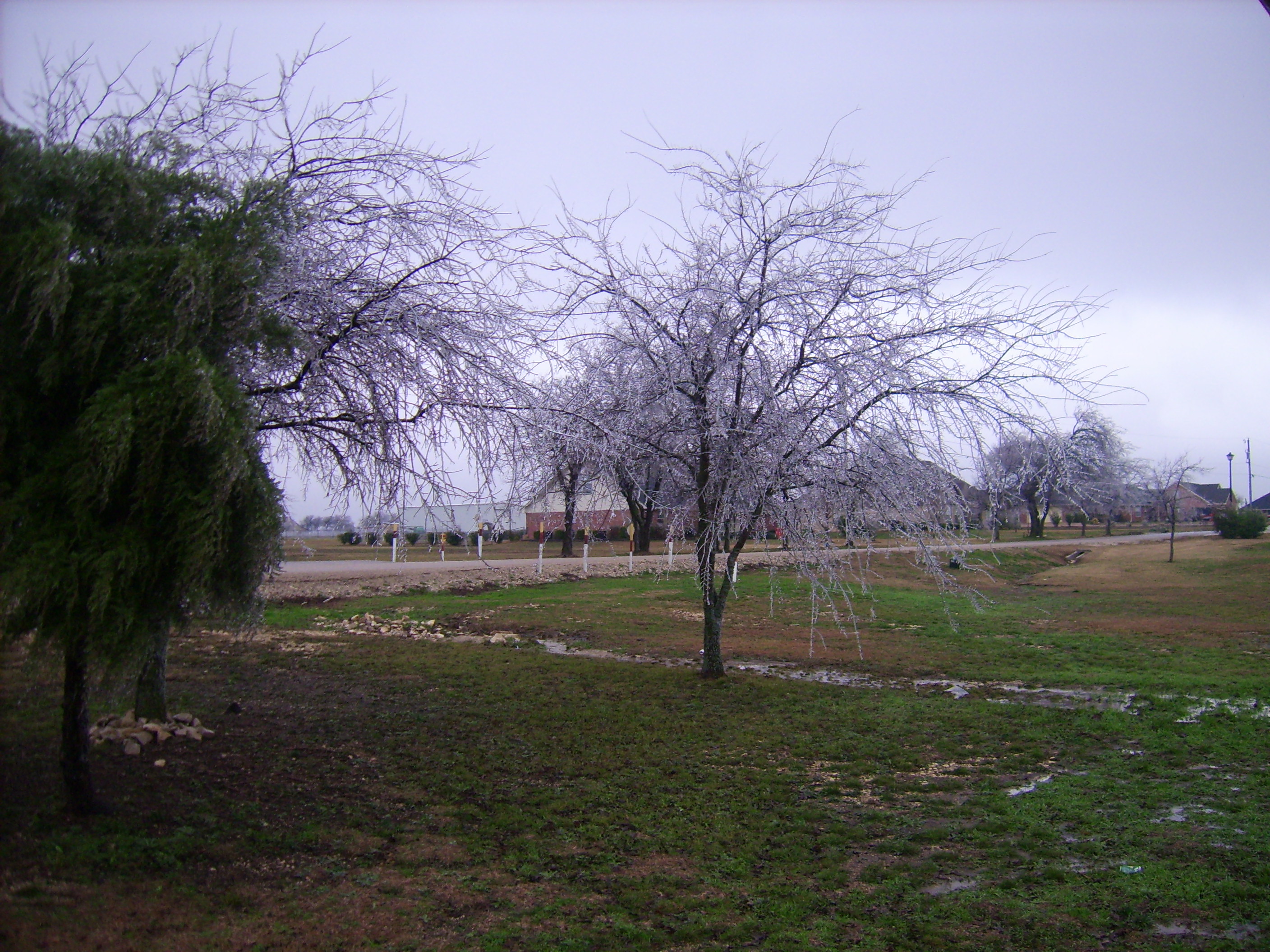 DSCI0145