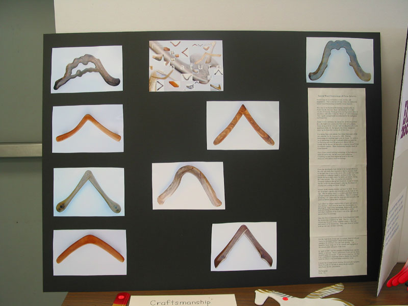 Natural wood boomerang display