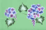 Michelle_flower_painting_01.jpg (51615 bytes)