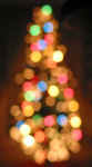 Blurry-Christmas-Tree.jpg (20497 bytes)