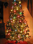 Lit up Christmas tree in the dark.jpg (554748 bytes)