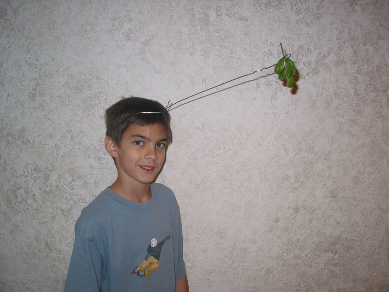 Mistletoe-Boy. Every girl's dream