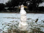 Armstrong Snowman Feb 2002.jpg (238537 bytes)