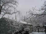 Feb04-Snow.jpg (175758 bytes)