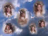 HollyAngelCollageNew.jpg (102319 bytes)